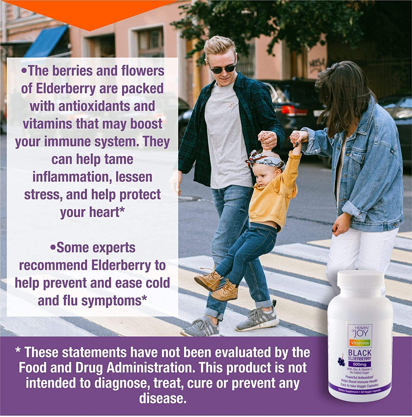 Elderberry Max 500 mg Plus VIT C and Zinc in Veg caps