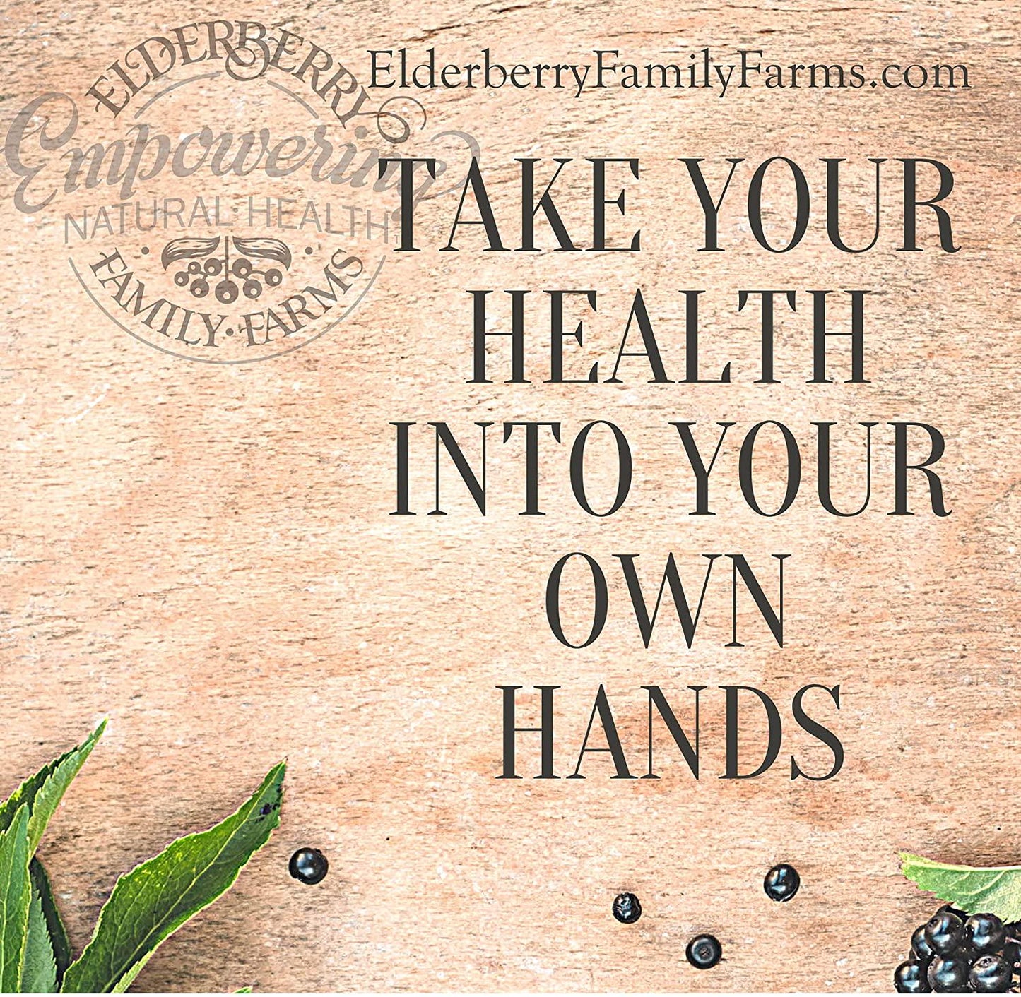 Elderberry Plus Immune Support Alcohol Free Elderberry Tincture | Black Elderberry Extract for Kids and Adults | Caffeine Free, Sugar Free - 2.25 fl. oz.