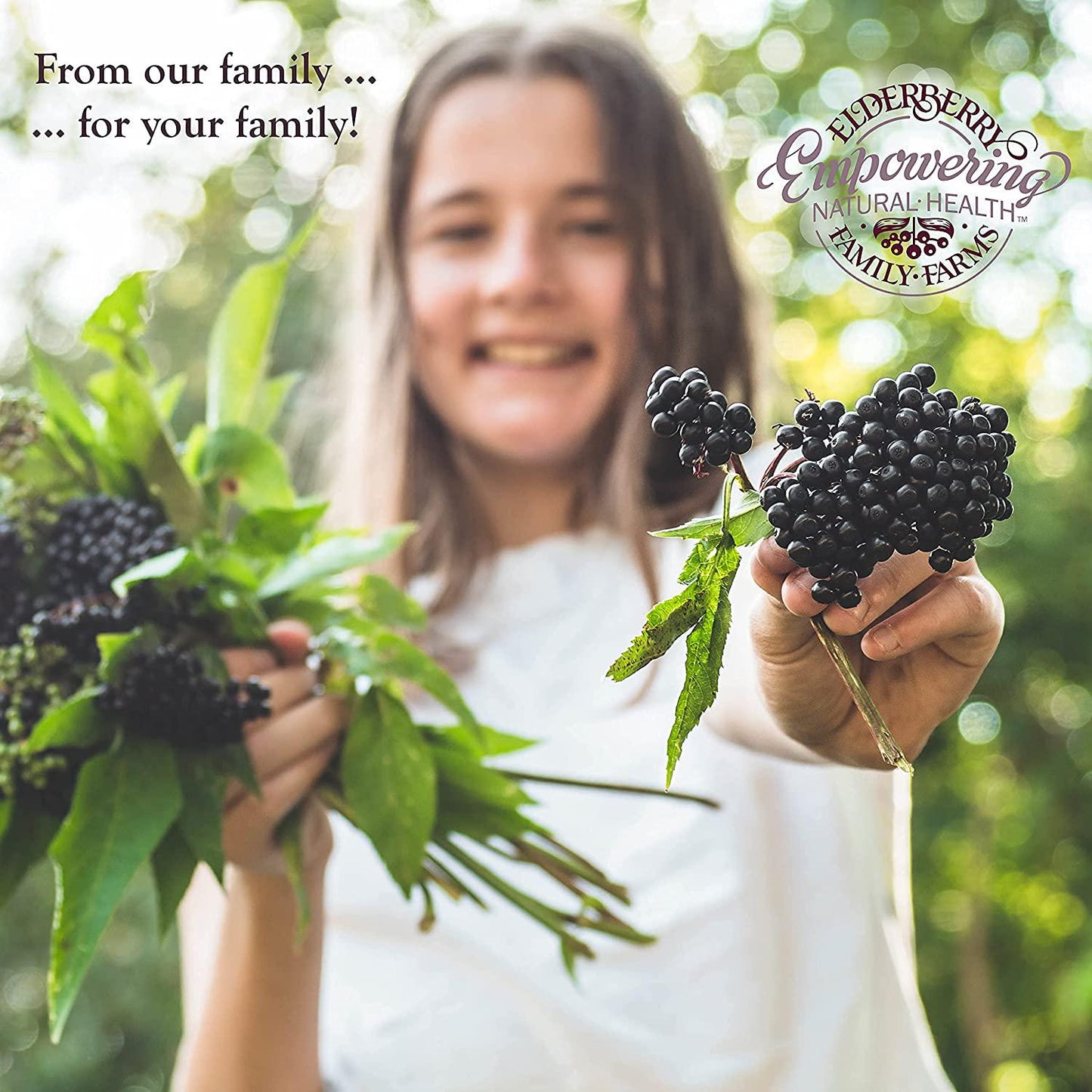 Elderberry Plus Immune Support Alcohol Free Elderberry Tincture | Black Elderberry Extract for Kids and Adults | Caffeine Free, Sugar Free - 2.25 fl. oz.