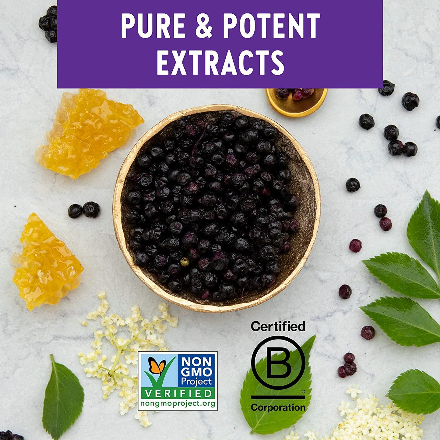 Elderberry Syrup, New Chapter Elderberry Syrup, 24 Servings, Immune Defense for Kids (4+) and Adults, 64x Concentrated Black Elderberry + Grade A Honey, No Corn Syrup, Non-GMO, Gluten Free