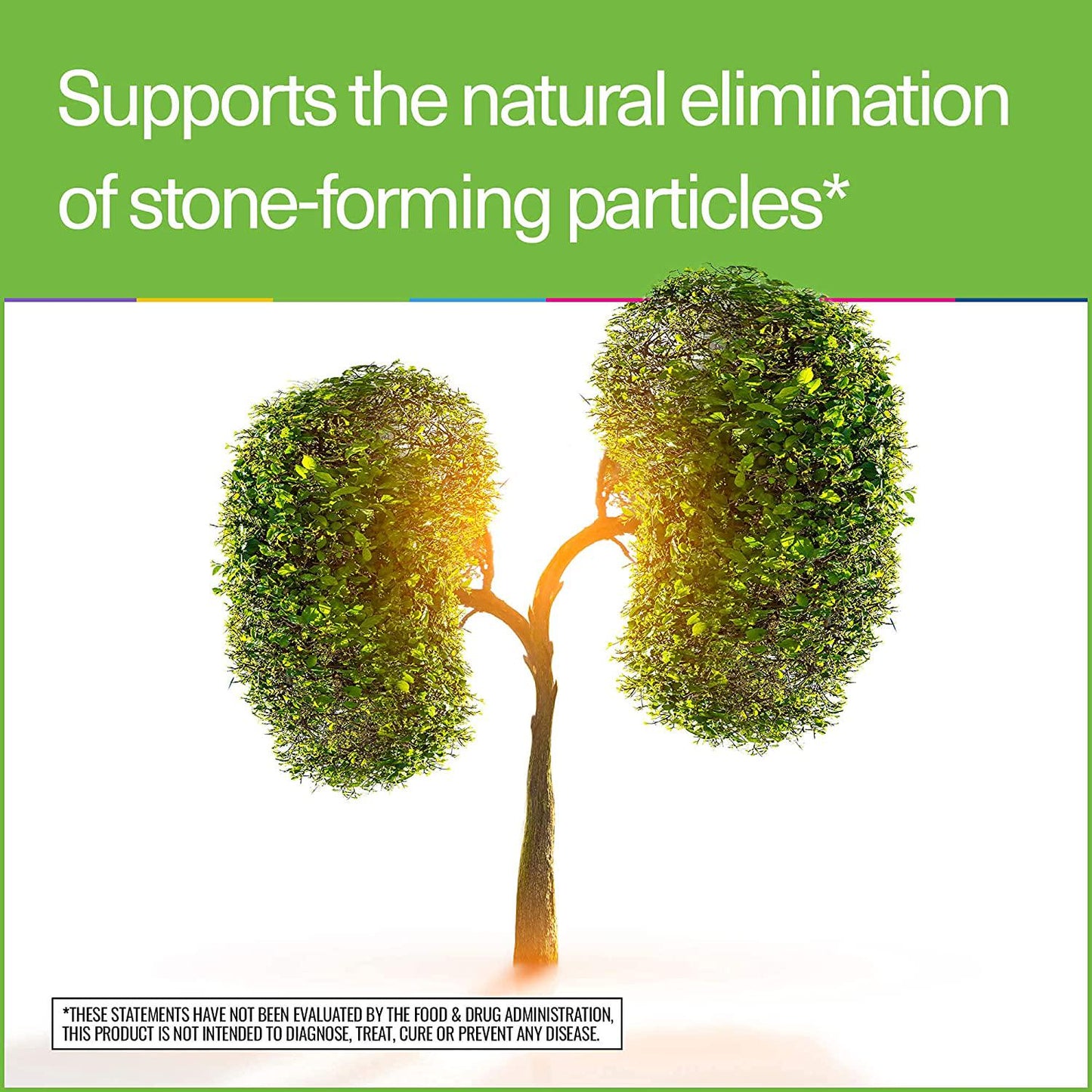 Elements Clean Kidney - Dietary Supplement, Supports Urinary Health and Normal Kidney Function, Gluten Free, 60 Tablets