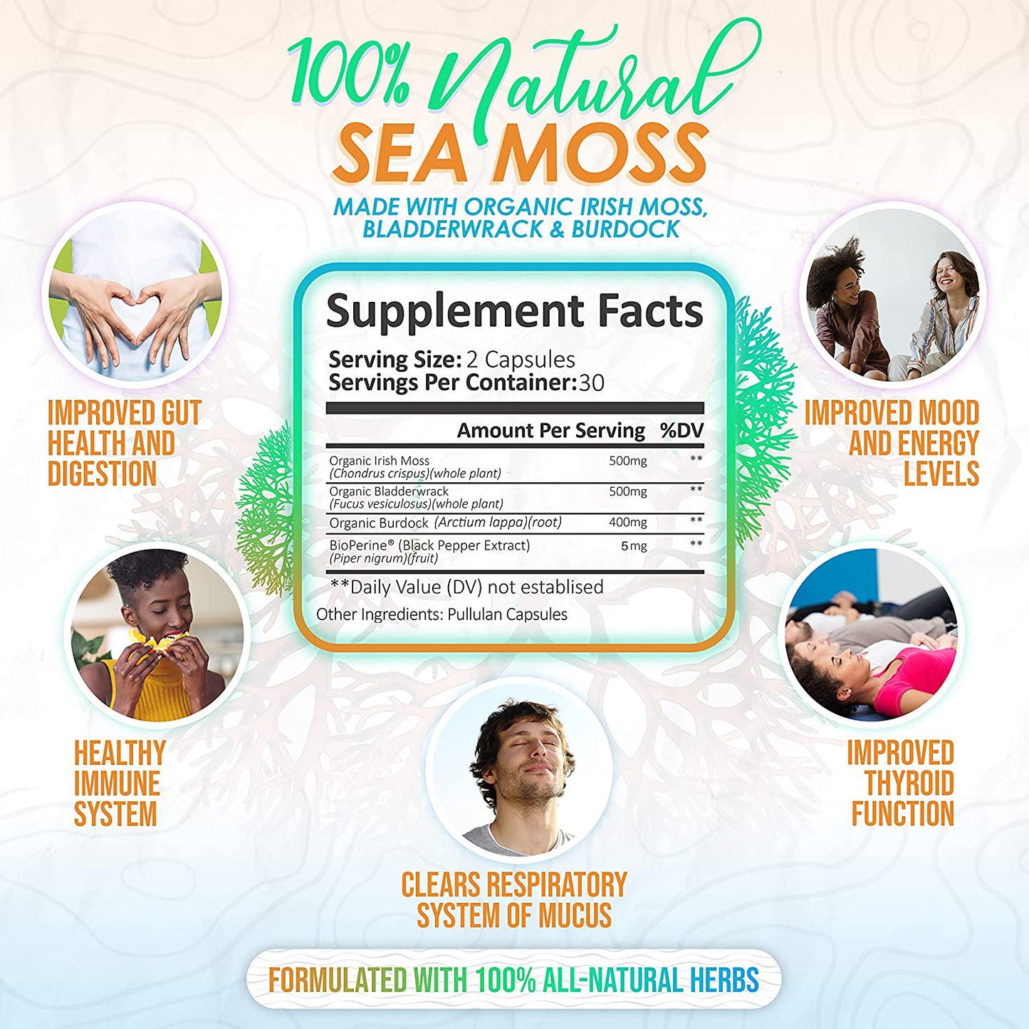 Elevation Organic Irish Sea Moss Bladderwrack Burdock Root 60 Capsules - Wildcrafted Seamoss Raw Organic Irish Moss Powder Gel Pills Alkaline Supplements Vegan Super Food - 1 Month Supply