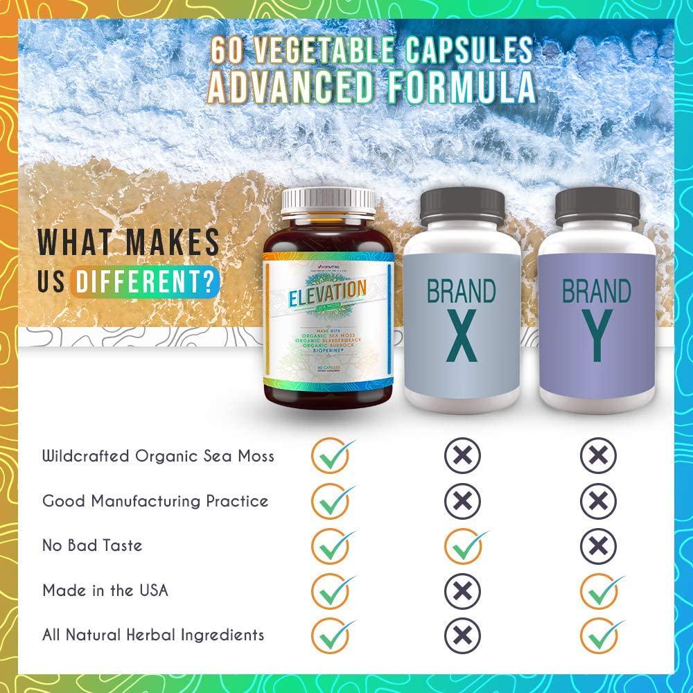 Elevation Organic Irish Sea Moss Bladderwrack Burdock Root 60 Capsules - Wildcrafted Seamoss Raw Organic Irish Moss Powder Gel Pills Alkaline Supplements Vegan Super Food - 1 Month Supply