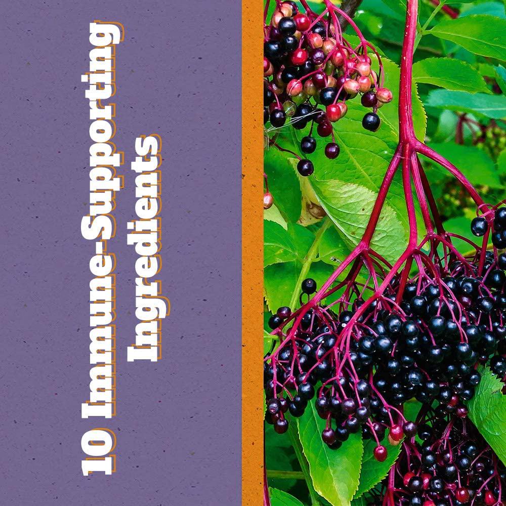 Emergency Immune Support - 10-in-1 Multivitamin Formula for Men and Women, Packed w/Vitamins, Minerals and Herbal Ingredients to Boost a Healthy Immunity System - 60 Vegetable Capsules