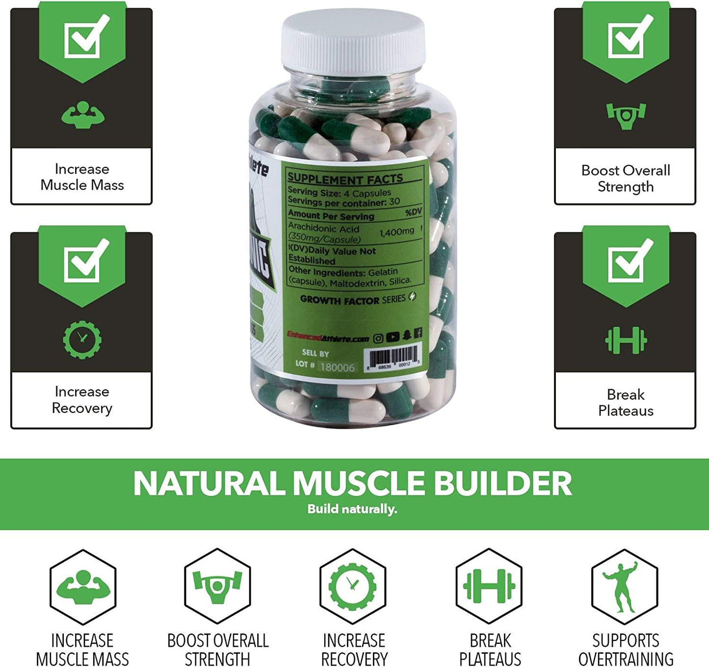 Enhanced Athlete Arachidonic Acid - Muscle and Strength Booster - Preserve Muscle and Boost Protein Synthesis - 350mg x 120 Capsules