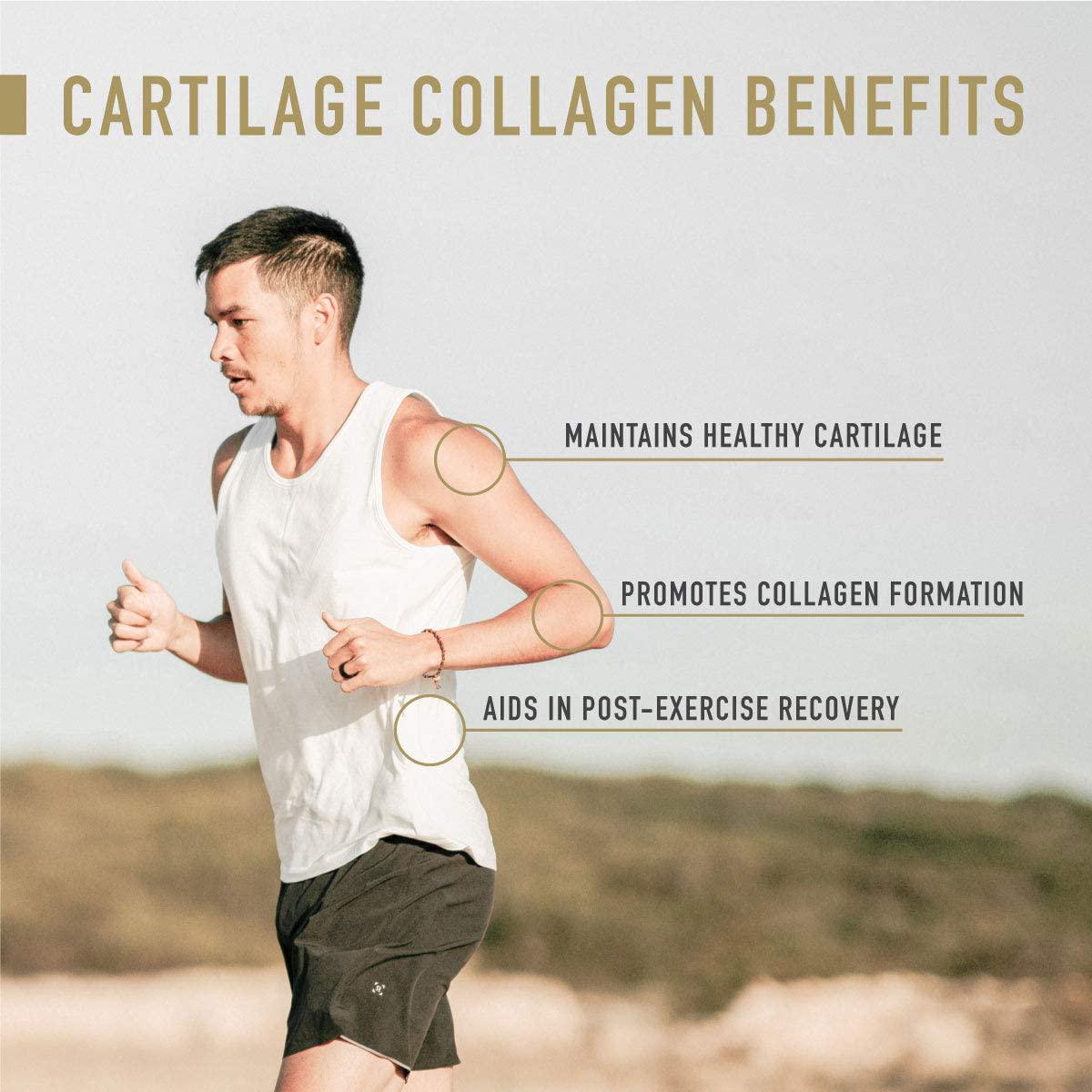 Enviromedica Tracheal Cartilage Collagen Supplement Capsules of Undenatured Type II Bovine Collagen Protein sourced from Grass Fed New Zealand Beef (120ct)