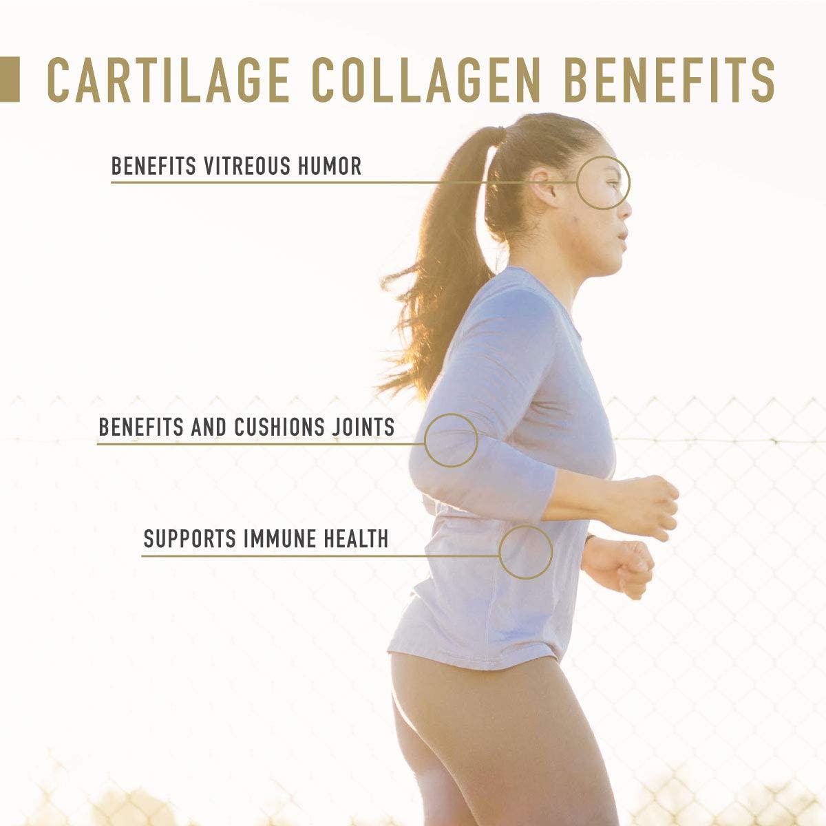 Enviromedica Tracheal Cartilage Collagen Supplement Capsules of Undenatured Type II Bovine Collagen Protein sourced from Grass Fed New Zealand Beef (120ct)