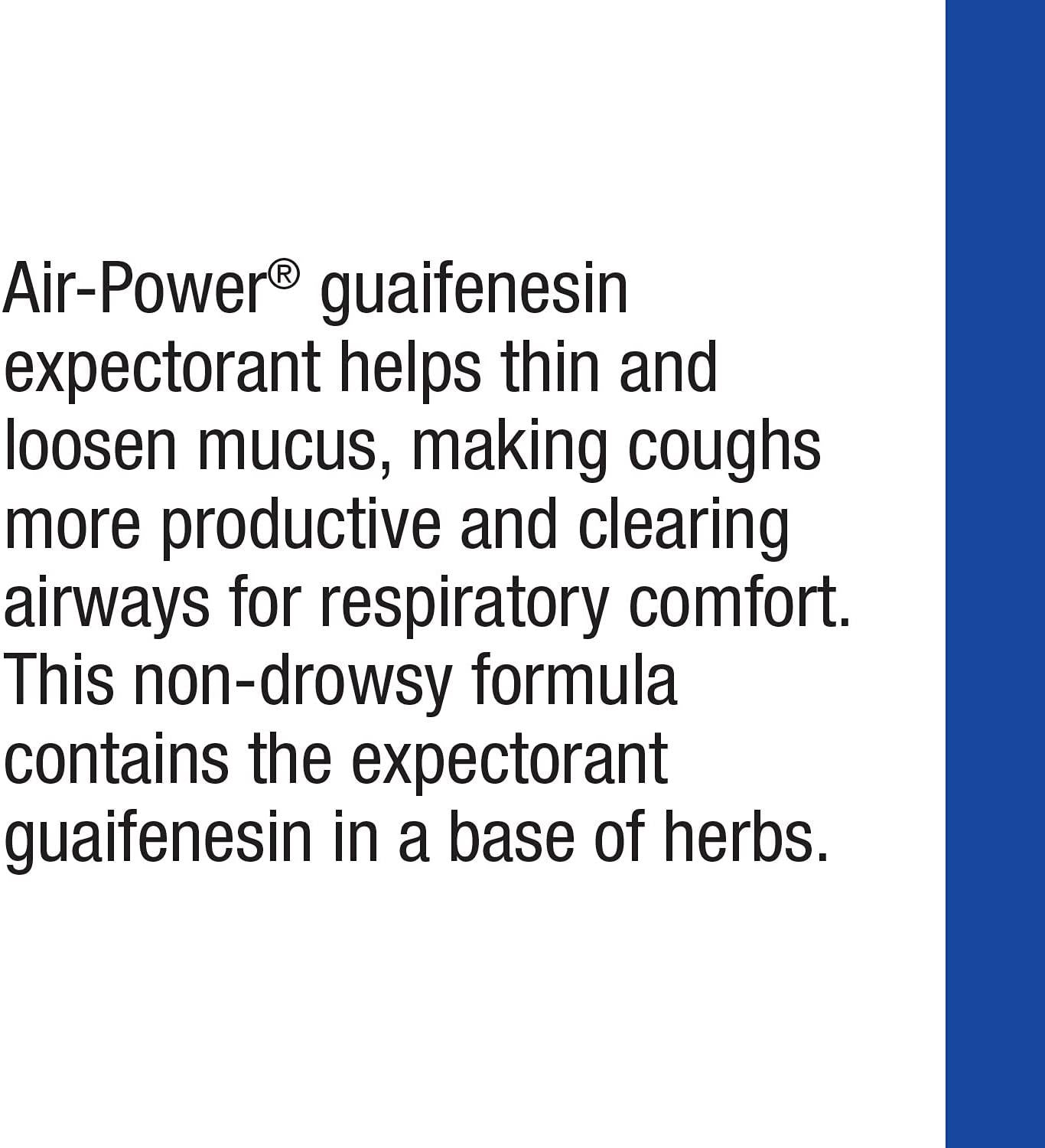 Enzymatic Therapy Air-Power Guaifenesin Expectorant Non-Drowsy 100 Count