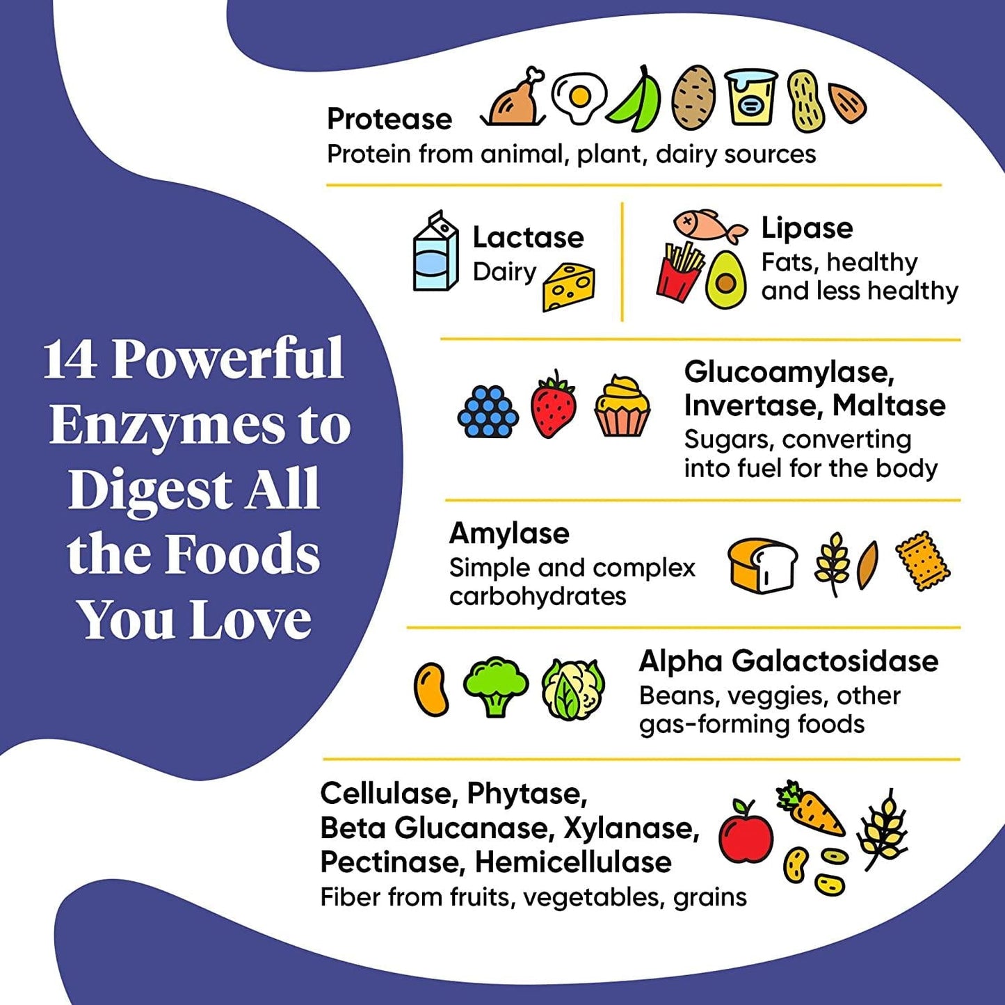 Enzymedica - Digest Gold with ATPro - 180 Capsules (Formerly DigestGold)