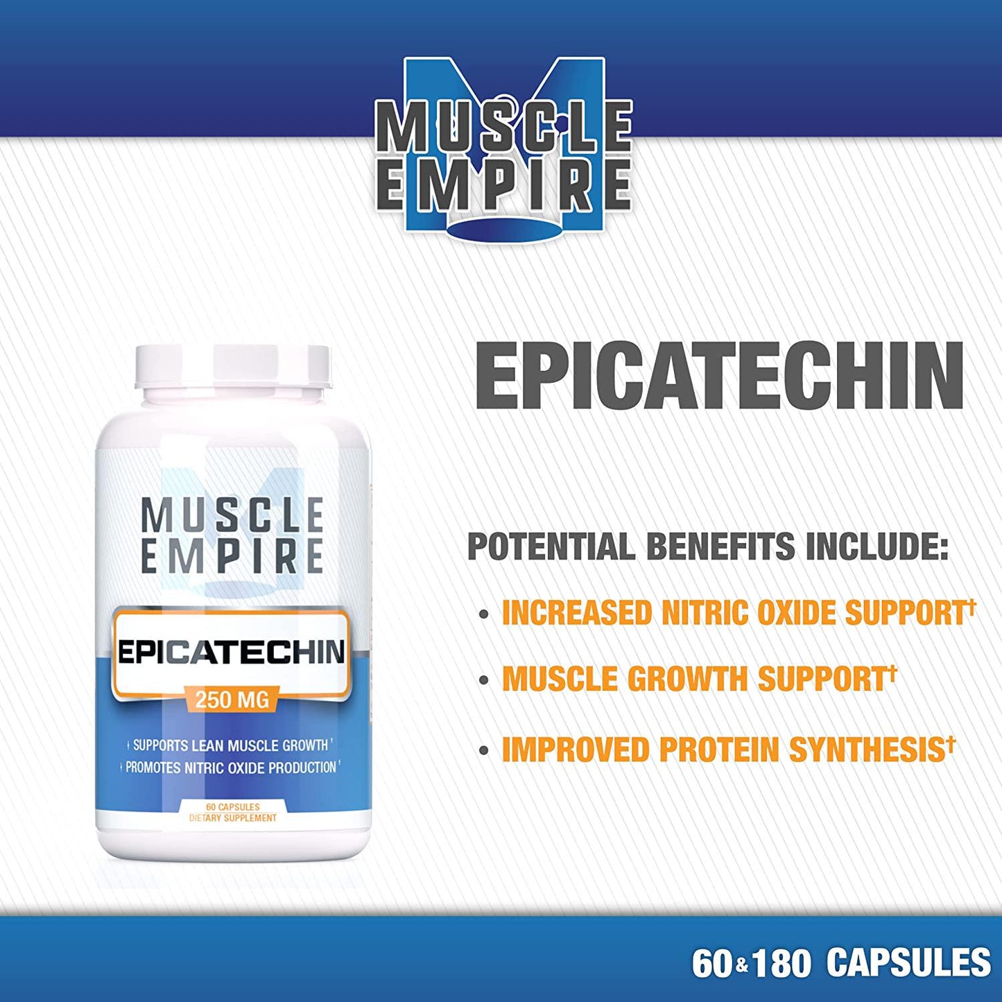 Epicatechin Extract Capsules - Supports Lean Muscle Growth, Nitric Oxide Booster and Myostatin Inhibitor - 180 Count - Muscle Empire