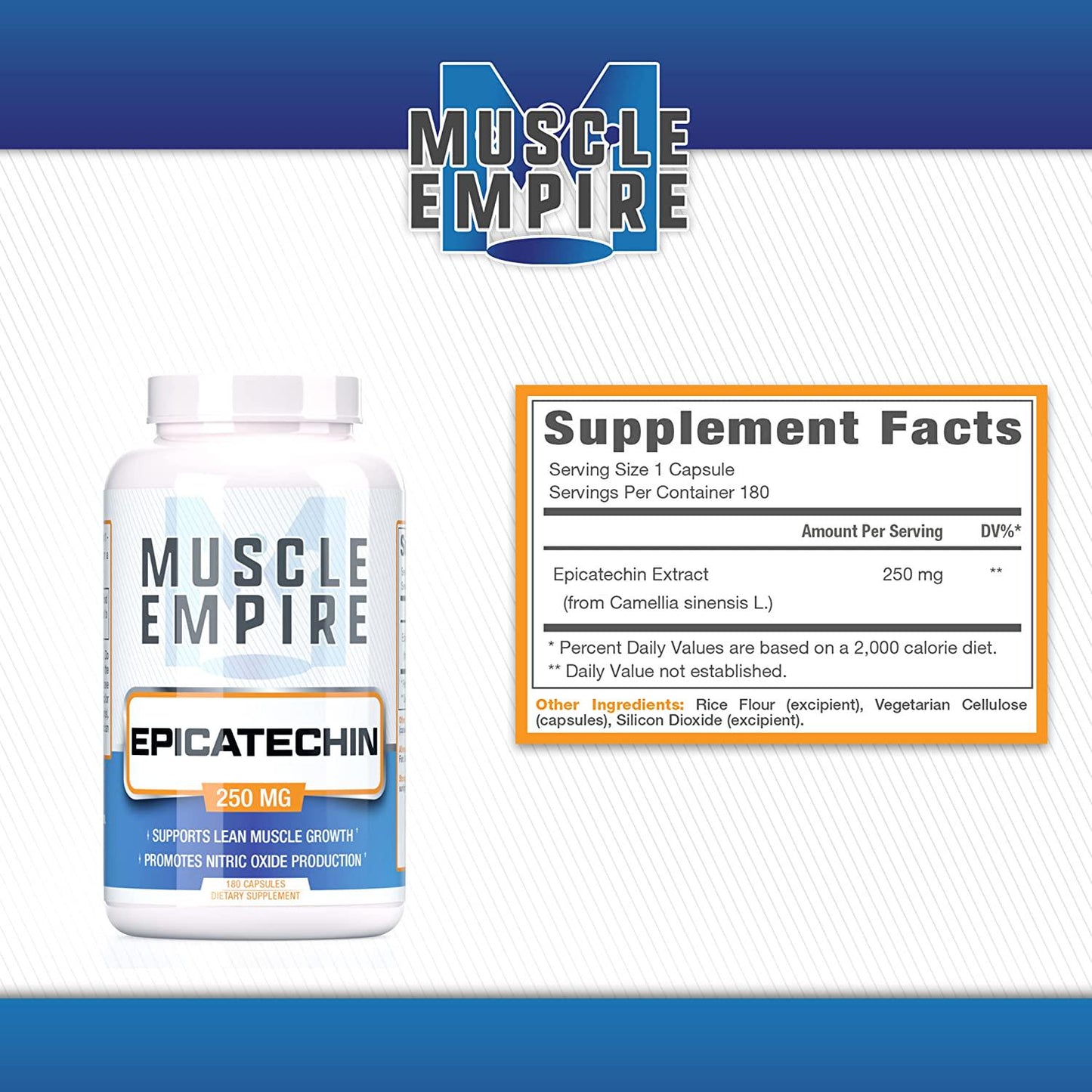 Epicatechin Extract Capsules - Supports Lean Muscle Growth, Nitric Oxide Booster and Myostatin Inhibitor - 180 Count - Muscle Empire