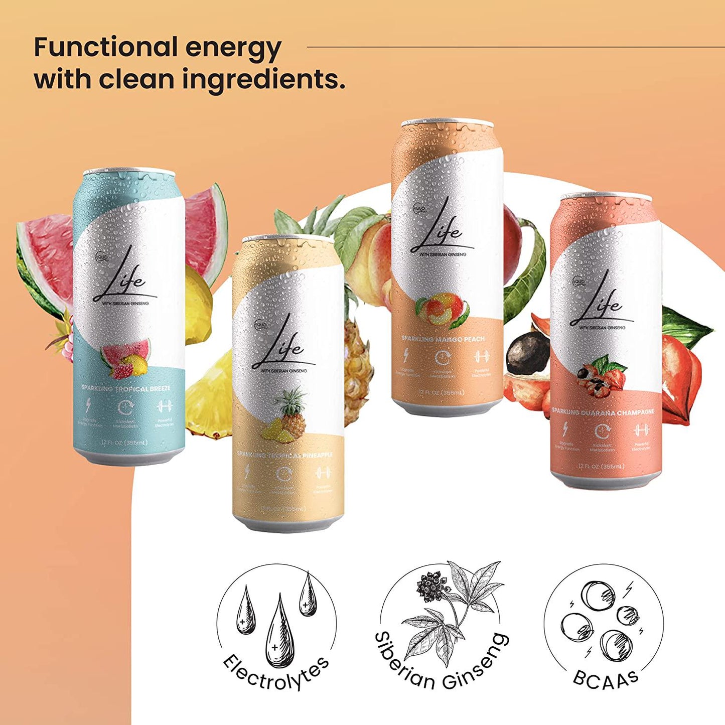 Equo Life Clean Energy Drink with Siberian Ginseng, 12 Fl Oz, Pack of 12, 4-Flavor Sampler Pack
