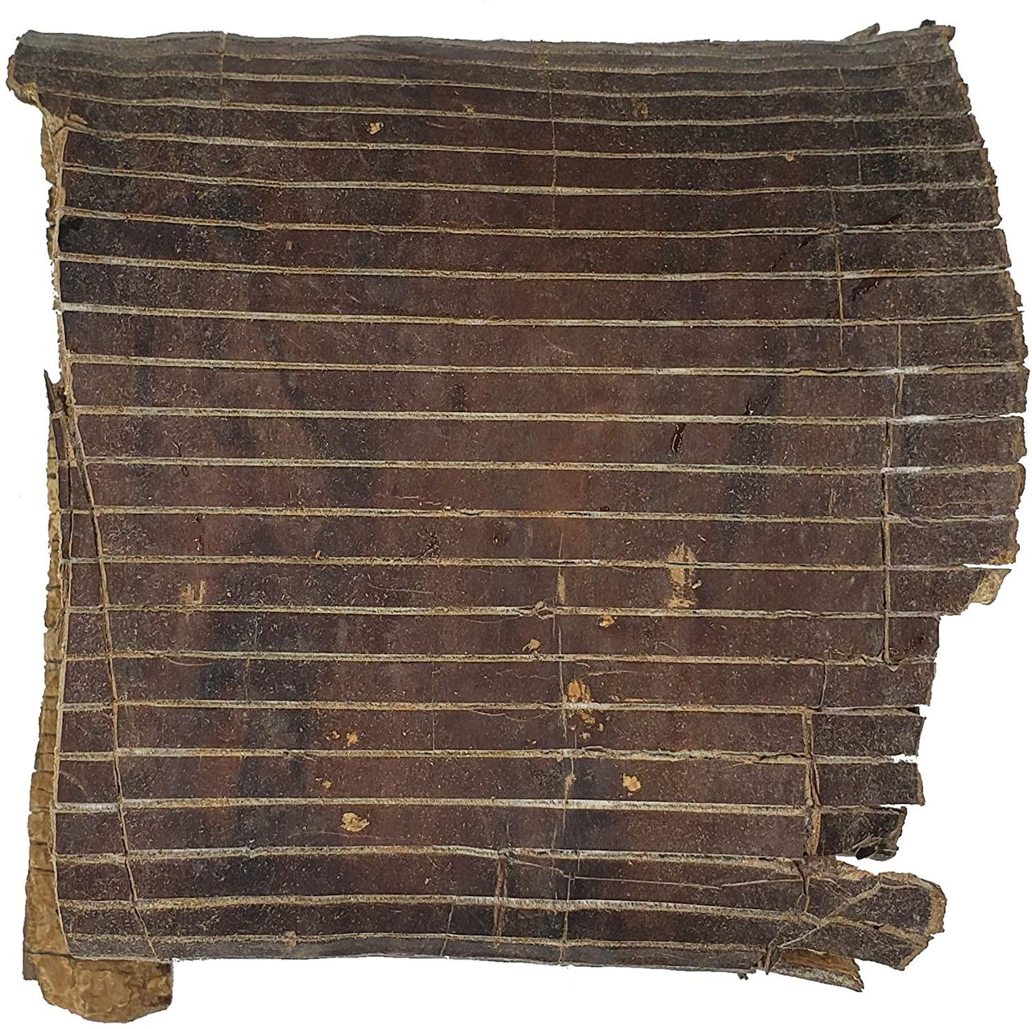 Eucommia Bark (8oz) | Premium Grade Whole Eucommia Bark, Du Zhong, , Eucommia ulmoides | Bone Health, Energy, Vitality, Strength, Teeth, Liver, Great for Men and Women!