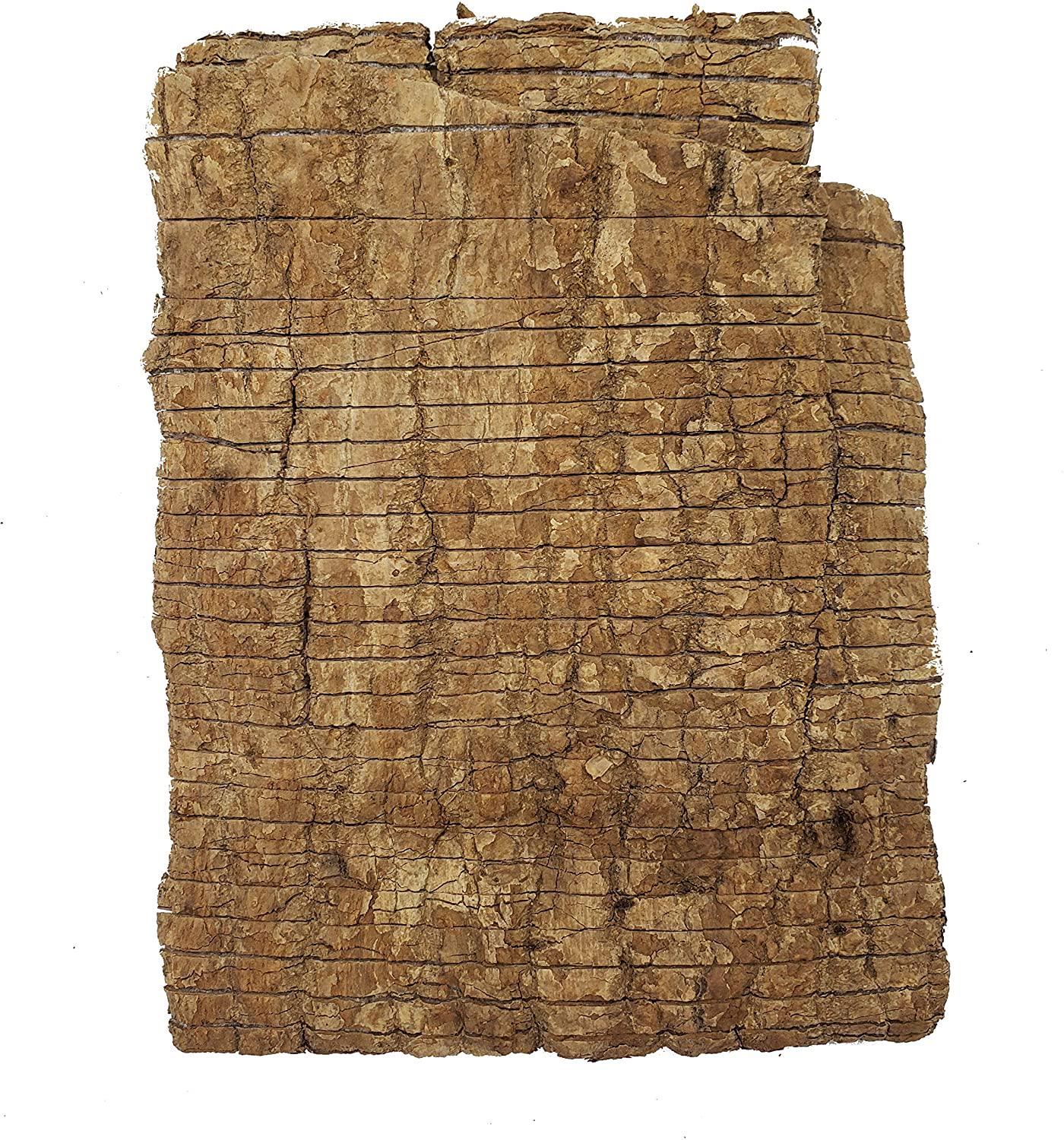 Eucommia Bark (8oz) | Premium Grade Whole Eucommia Bark, Du Zhong, , Eucommia ulmoides | Bone Health, Energy, Vitality, Strength, Teeth, Liver, Great for Men and Women!