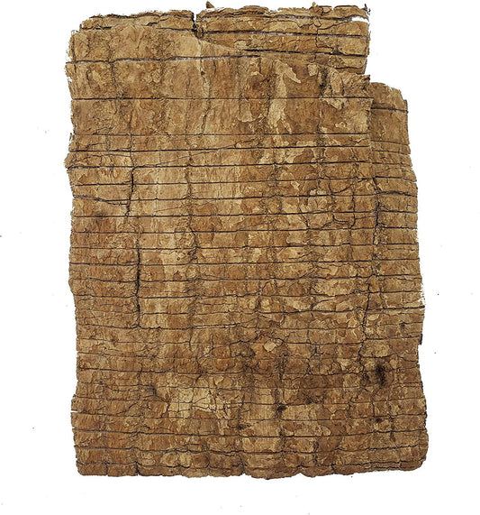 Eucommia Bark (8oz) | Premium Grade Whole Eucommia Bark, Du Zhong, , Eucommia ulmoides | Bone Health, Energy, Vitality, Strength, Teeth, Liver, Great for Men and Women!