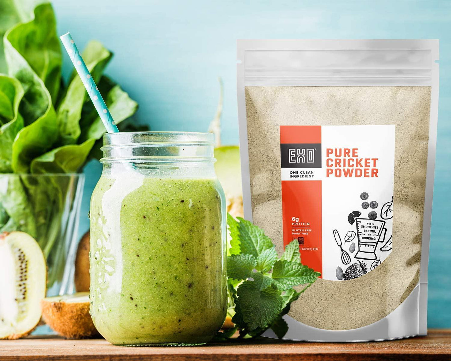 Exo Pure Cricket Protein Powder, 1 Pound, Low Carb, Dairy Free, Gluten Free