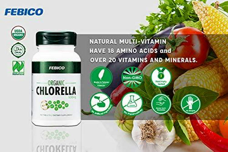 FEBICO Premium Organic Chlorella Tablets- Vegan, Best Green Superfood, Non-GMO, High Dietary Fiber, Rich Protein- USDA, Naturland, Halal Certified- 500mg, 180 Counts, 30 Days