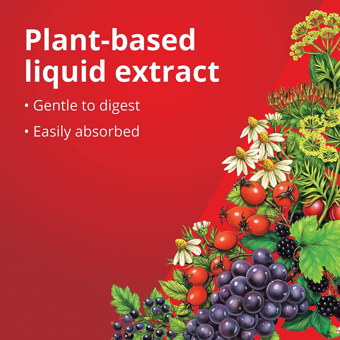 FLORADIX Yeast-Free Iron and Herbs, 8.5 FZ