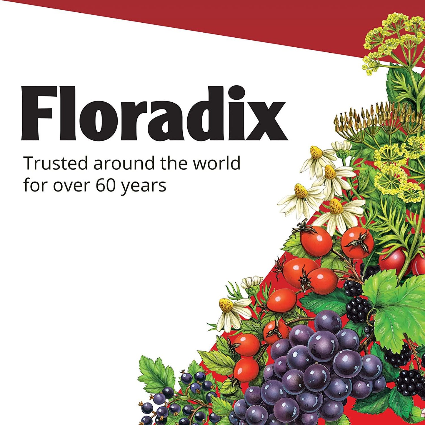 FLORADIX Yeast-Free Iron and Herbs, 8.5 FZ