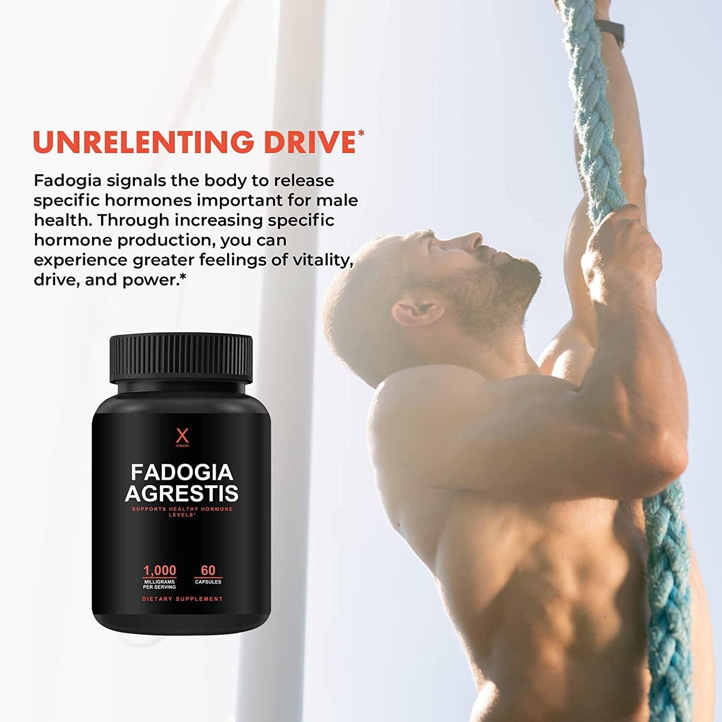 Fadogia Agrestis 1000mg - USA Third Party Tested - Powerful Extract to Support Athletic Performance - Fadogia Agrestis Supplement - by Humanx
