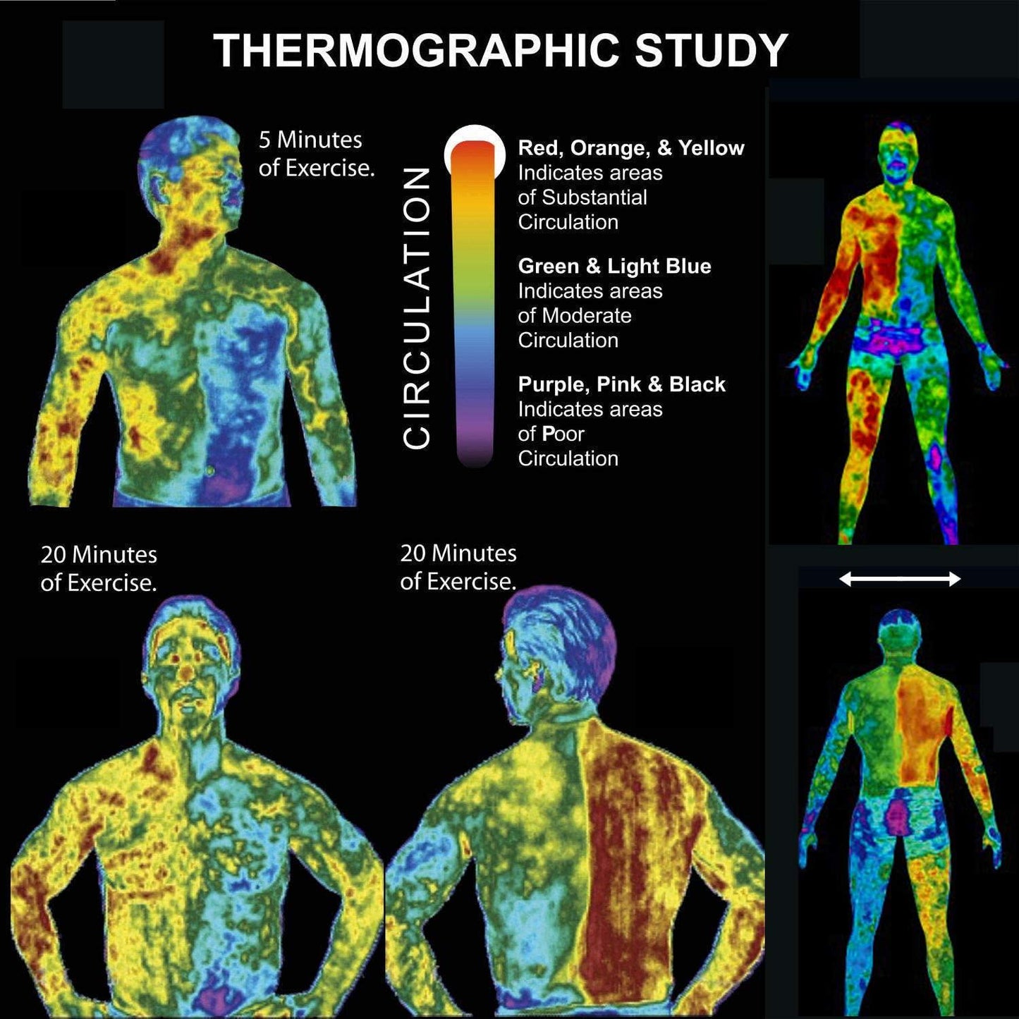 Fat Burning Cream,Abdominal Muscle Cream Fat Burner Cellulite Creams Tighten Muscles, Slimming Enhancer Workout Coconut Body Cream for Weight Losing (Fat Burning Cream)