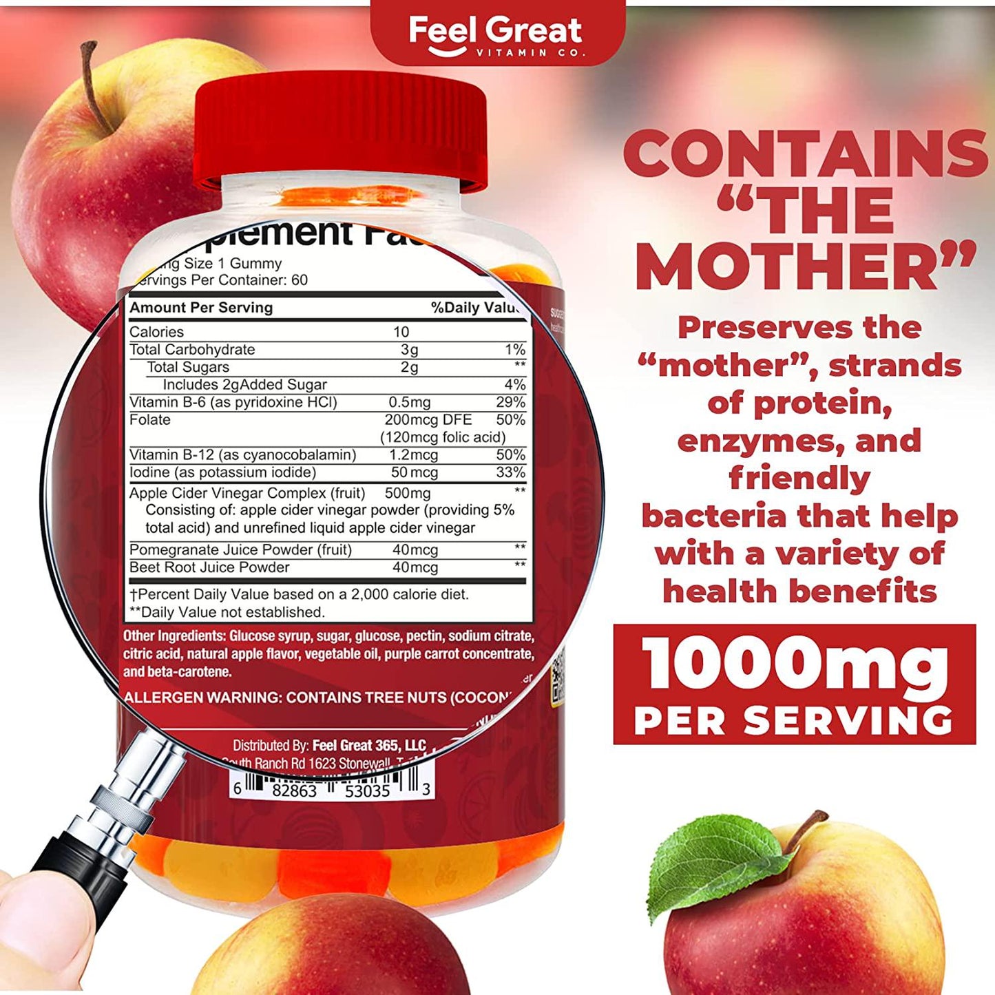 Feel Great Vitamin Co. Apple Cider Vinegar Gummies for Kids | Digestive and Immune Support | Natural Antioxidant | Supports Healthy Nutrient Absorption | 500mg of ACV per Serving | 60 Gummies