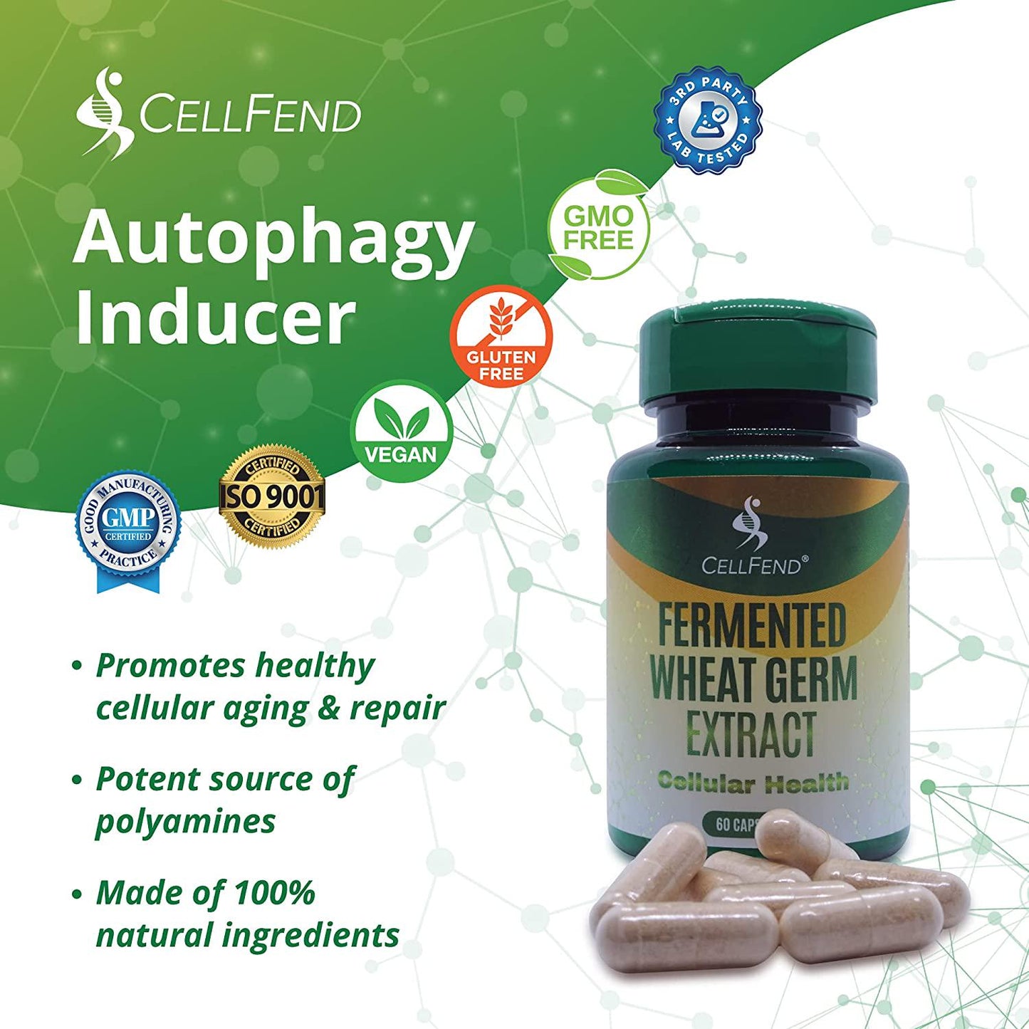 Fermented Wheat Germ Extract - Cellular Health Supplement - Autophagy Inducer - Advanced Polyamine Complex - 60 Capsules (500mg)