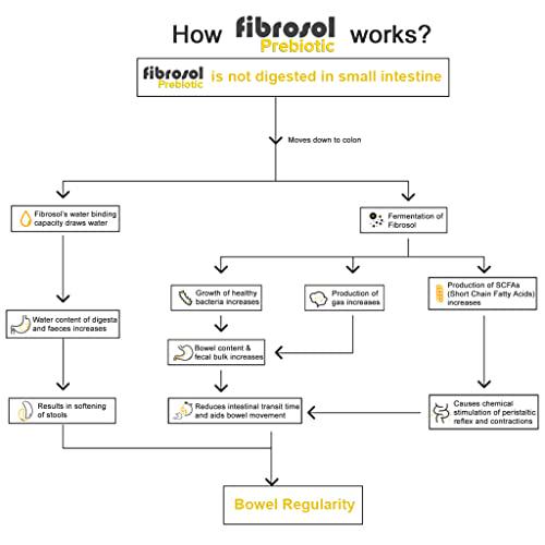 Fibrosol Prebiotic - Soluble Fiber Supplement, Plant-Based and Taste-Free (30 x 0.17oz sachets)