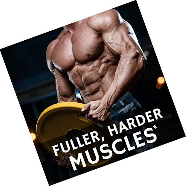 Fitness Labs Creapure German Creatine 1000 Mg, 300 Capsules