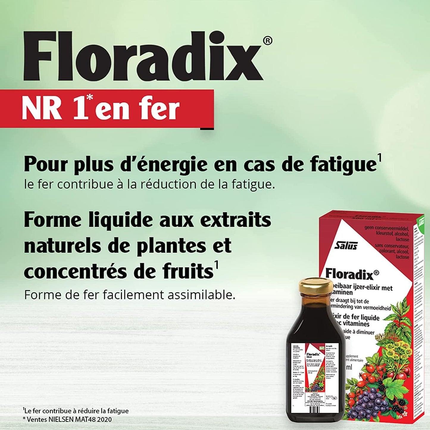 Floradix Liquid Iron Plus, 250ml