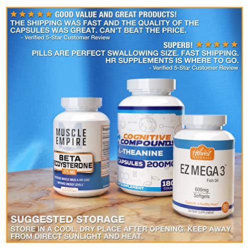 Focus Point Capsules - Nootropic Brain Health Supplement - 60 Count - Cognitive Compounds