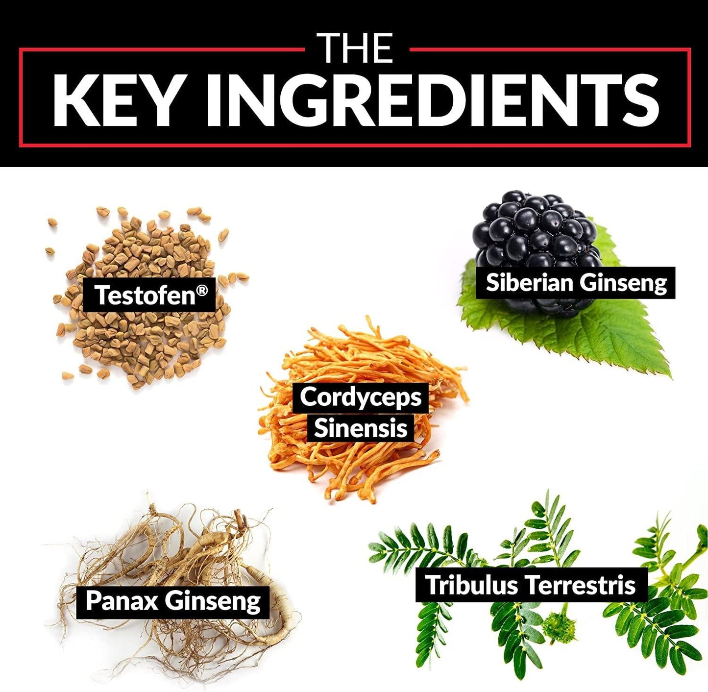 Force Factor Test X180 60ct 2-Pack, 120 Count