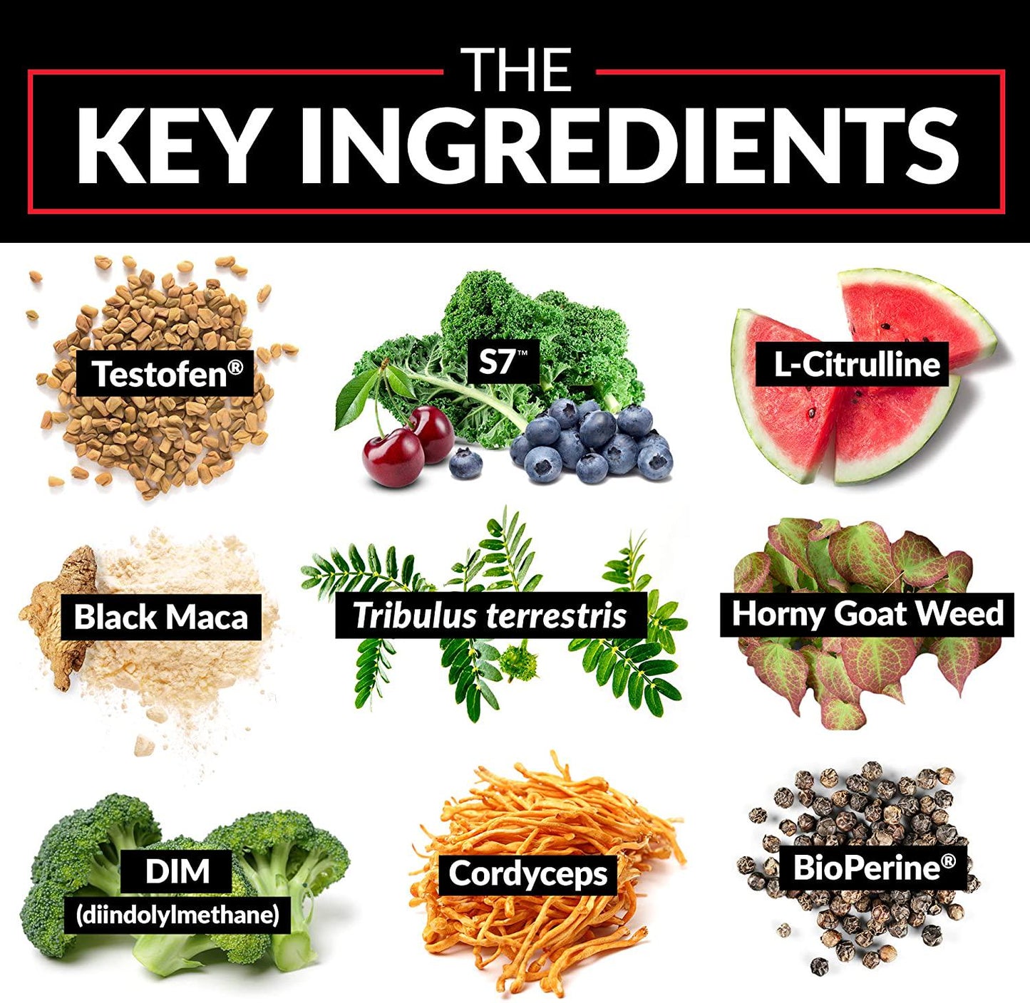 Force Factor Test X180 Alpha Max, Nitric Oxide Booster, Lean Muscle Builder For Men with Testofen, L-Citrulline, Tribulus Terrestris, and Black Maca, 180 Count