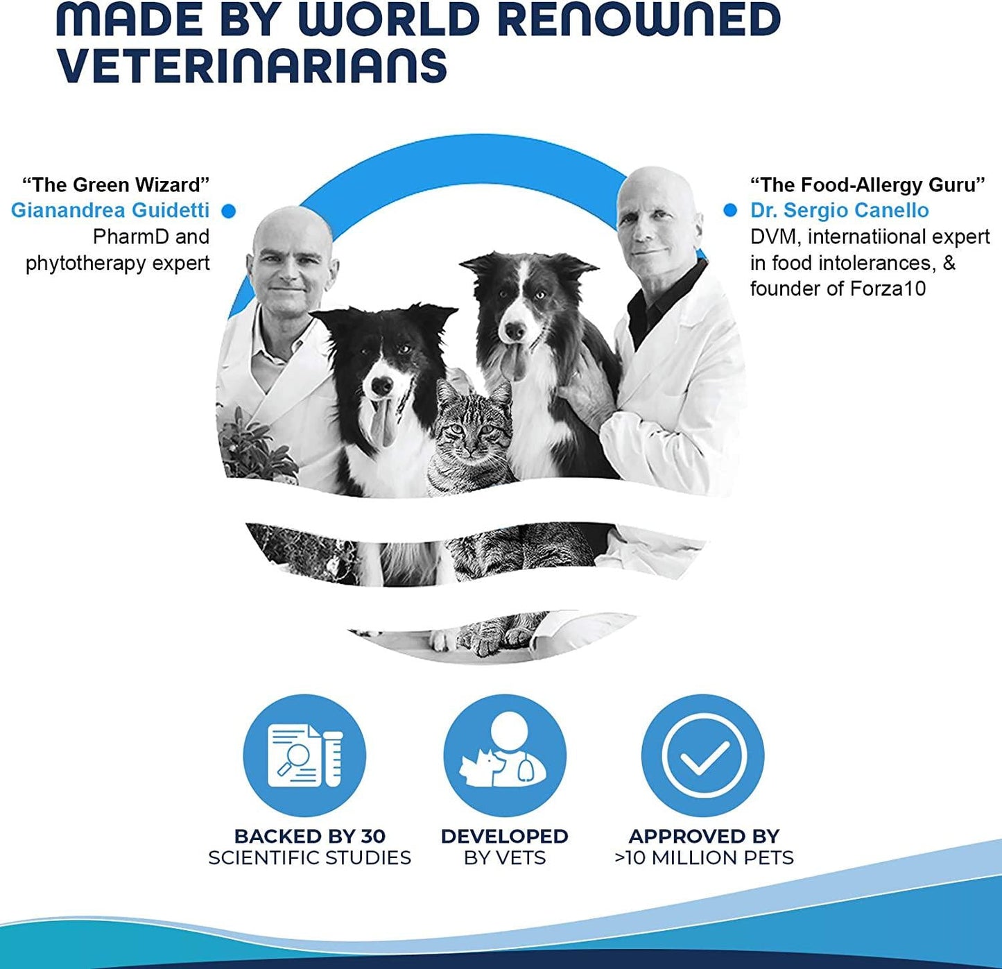 Forza10 Active Colon Support Diet Phase 1 Dry Dog Food, Helps Dogs with Diarrhea, Colitis and Constipation, Wild Caught Anchovy Protein Flavor for Adult Dogs