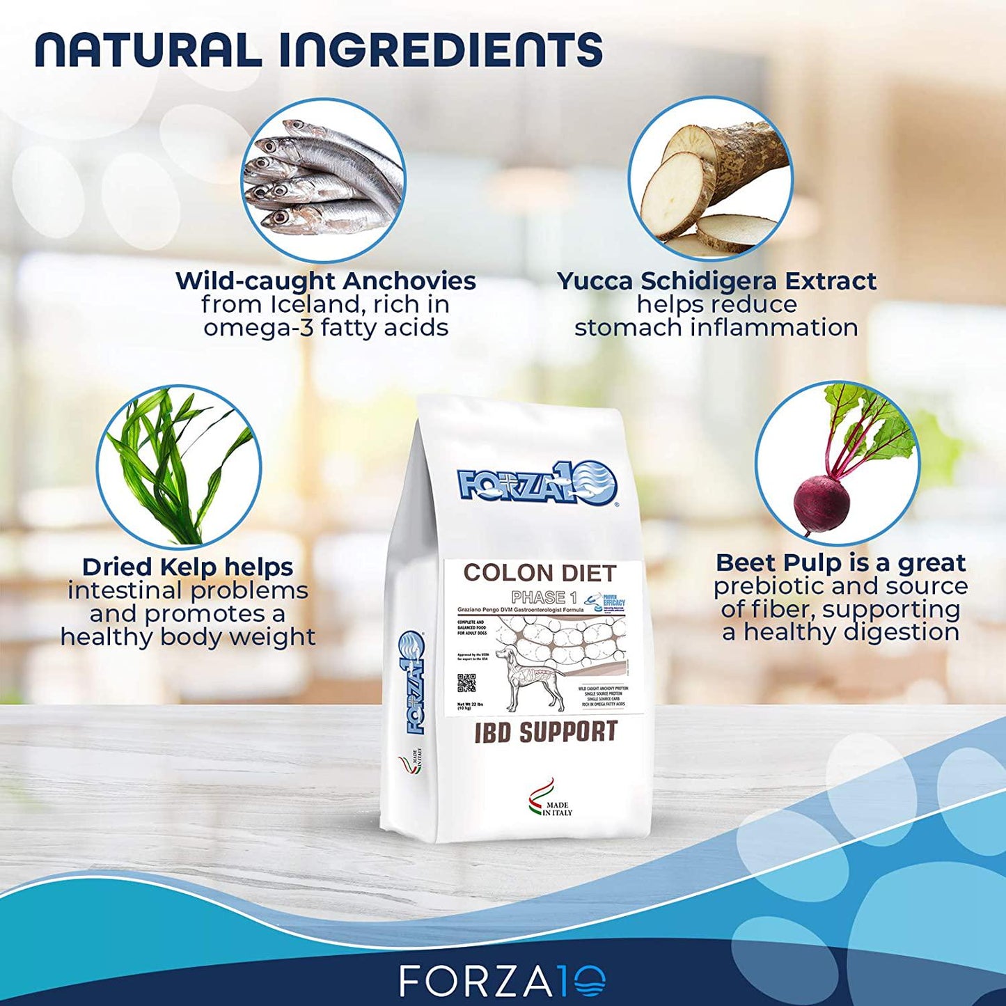 Forza10 Active Colon Support Diet Phase 1 Dry Dog Food, Helps Dogs with Diarrhea, Colitis and Constipation, Wild Caught Anchovy Protein Flavor for Adult Dogs