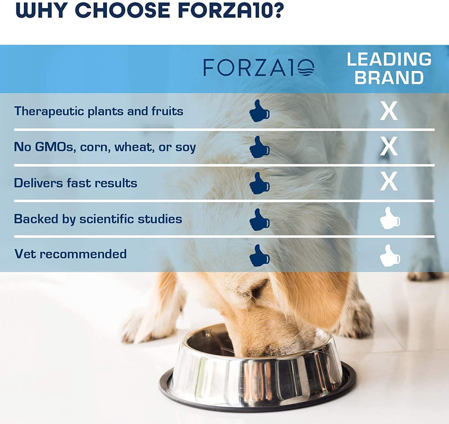 Forza10 Active Colon Support Diet Phase 1 Dry Dog Food, Helps Dogs with Diarrhea, Colitis and Constipation, Wild Caught Anchovy Protein Flavor for Adult Dogs