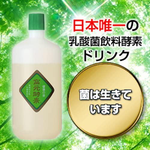Fugen Active Enzyme Powder for Health and Beauty,All Natural Ingredients 2gx90 Sachets Made in Japan
