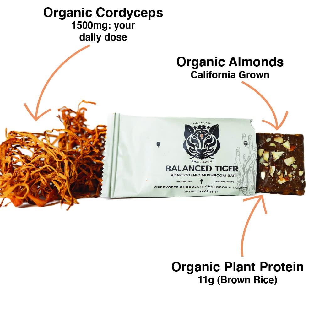 Functional Mushroom Protein Bars | Full Dose (1500mg) Lions Mane, Chaga, Reishi, or Cordyceps in Each Bar | Vegan Protein Bars, Nootropic, Adaptogens, Gluten Free Protein Bars, Mushroom Supplement, Superfoods Protein Bars | 4 Bar Sampler Pack