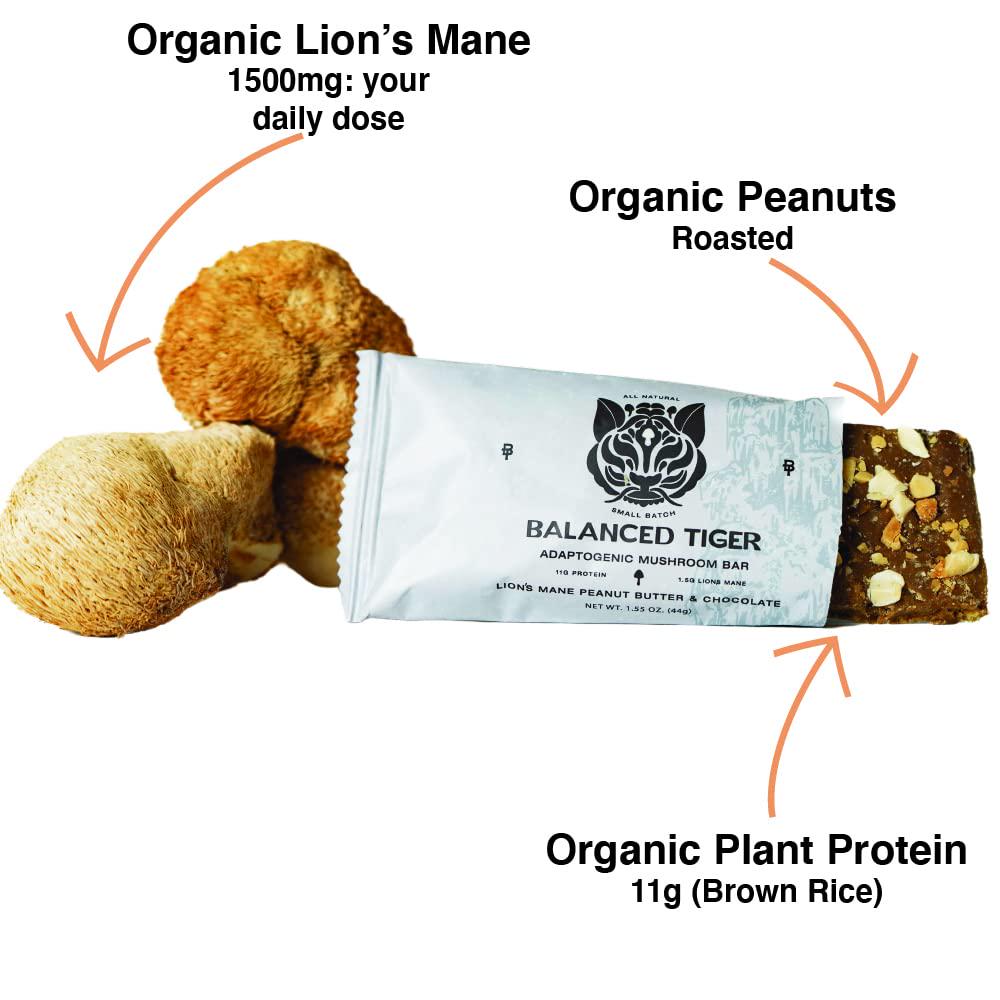 Functional Mushroom Protein Bars | Full Dose (1500mg) Lions Mane, Chaga, Reishi, or Cordyceps in Each Bar | Vegan Protein Bars, Nootropic, Adaptogens, Gluten Free Protein Bars, Mushroom Supplement, Superfoods Protein Bars | 4 Bar Sampler Pack