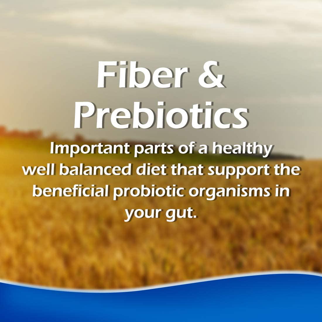 Fybogel Orange Hi-Fibre Orange Isabgol Husk 100 gm. Gently Releives Constiaption