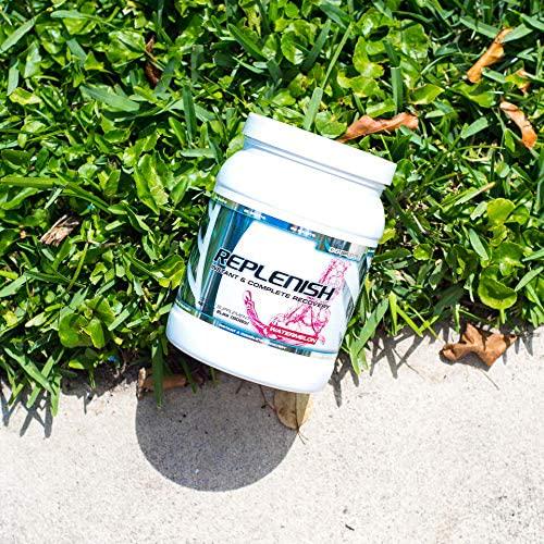 G6 Sports Nutrition Replenish Instant and Complete Recovery (Post Workout Formula, 11g of BCAAs and EAAs, 20g Whey Protein, 1000mg Creatine MagnaPower, Zero Refined Sugars) – 2lb Jar – Watermelon