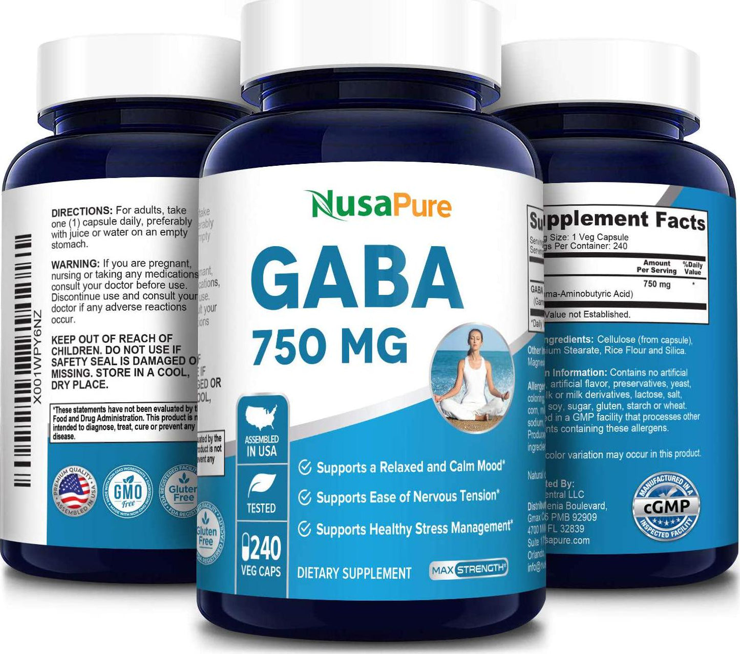 GABA 750 mg 240 Vegetarian caps (Non-GMO and Gluten Free) Gamma Aminobutyric Acid - Supports Positive Mood and Relaxation, Naturals Sleep Aid