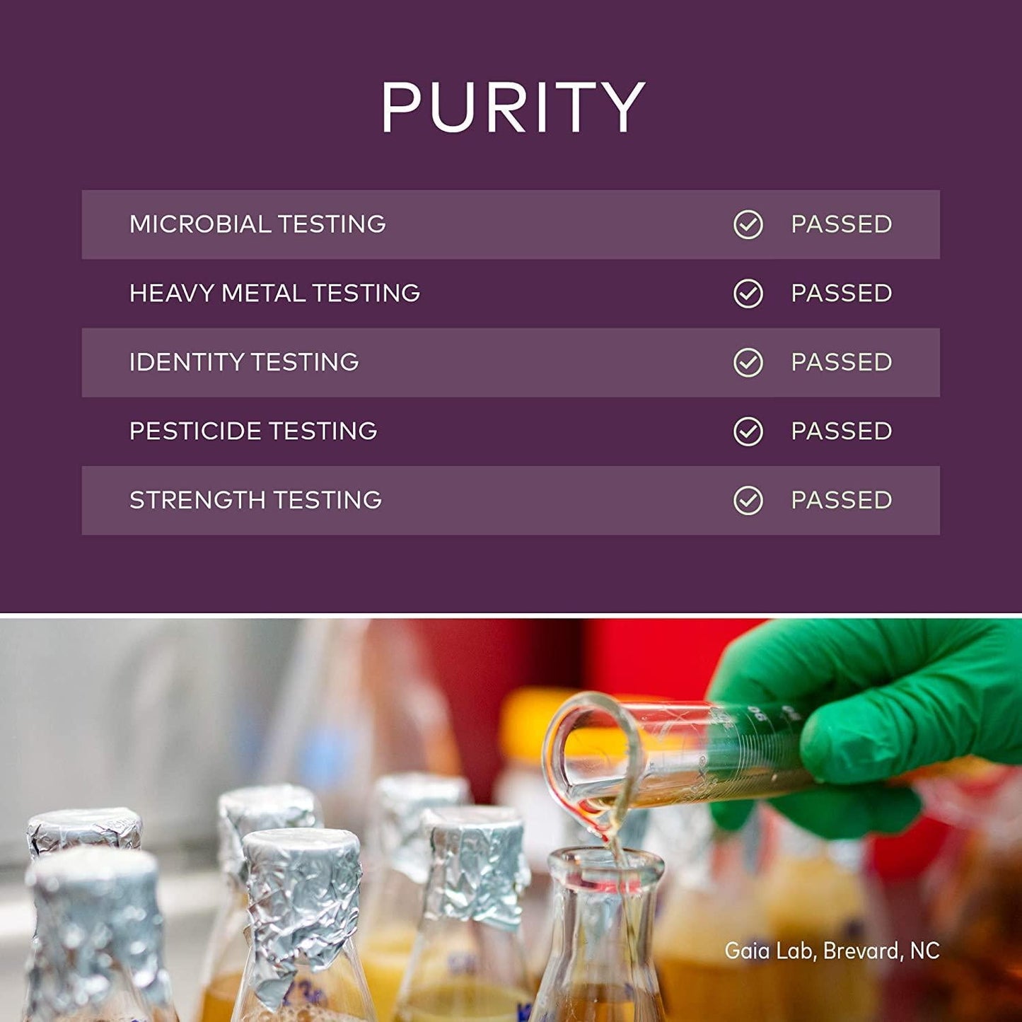 GAIA HERBS Organic Extra Strength Elderberry Gummies, 80 CT