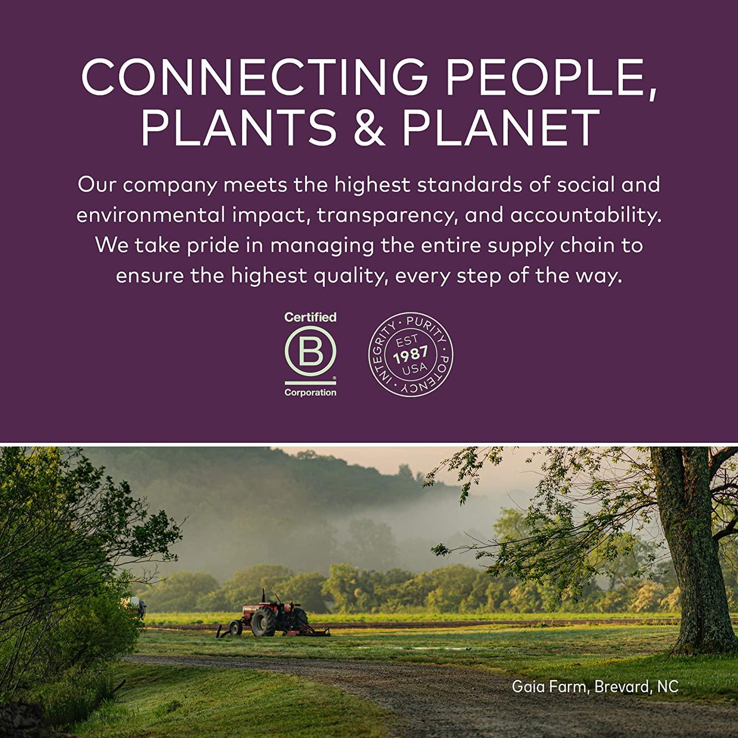 GAIA HERBS Organic Extra Strength Elderberry Gummies, 80 CT