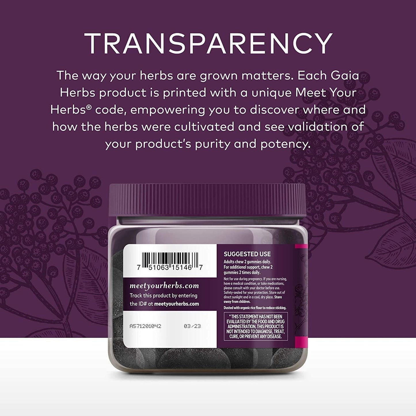 GAIA HERBS Organic Extra Strength Elderberry Gummies, 80 CT