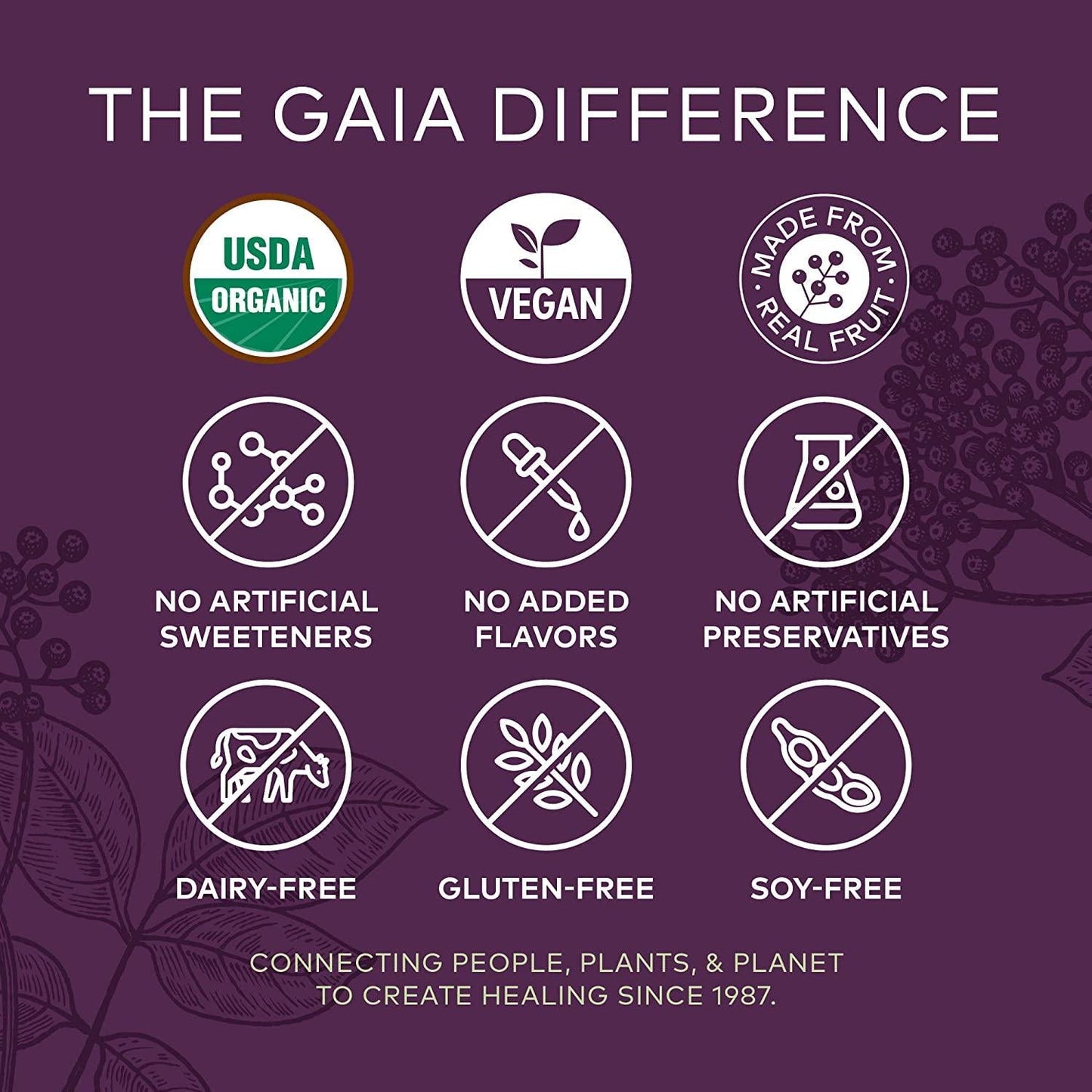 GAIA HERBS Organic Extra Strength Elderberry Gummies, 80 CT