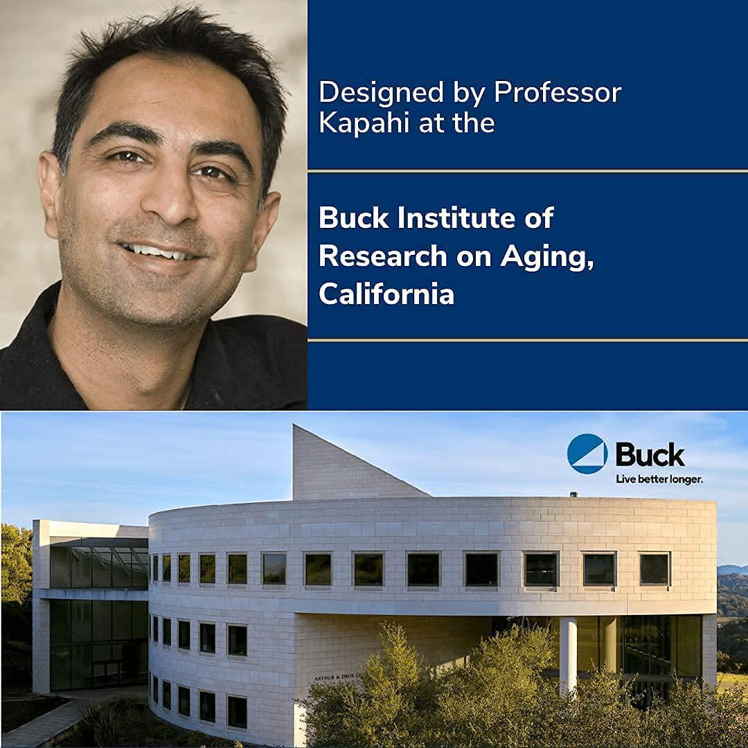 GLYLO - Scientifically formulated Healthy Aging and Weight Management Pill - Reduces Cravings and Menopause Related Weight - 60 Caps