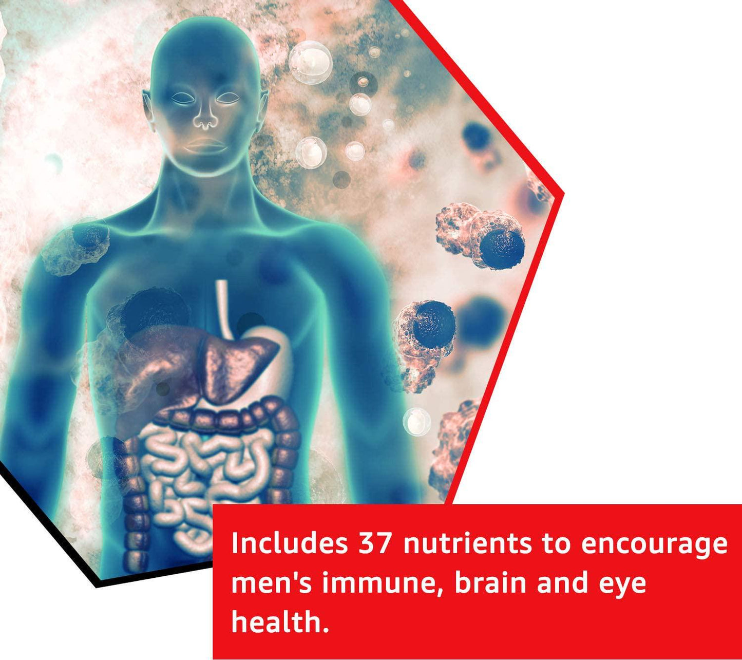 GNC Mega Men One Daily Multivitamin for Men, 60 Count, Take One A Day for 19 Vitamins and Minerals, Supports Muscle Performance, Energy, Metabolism, Brain, and Immune System