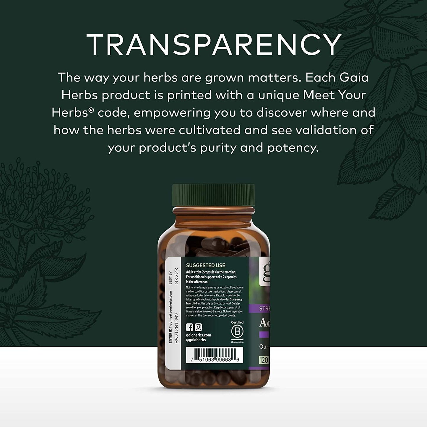 Gaia Herbs Adrenal Health Daily Support Liquid Phyto-Caps, 120 Count