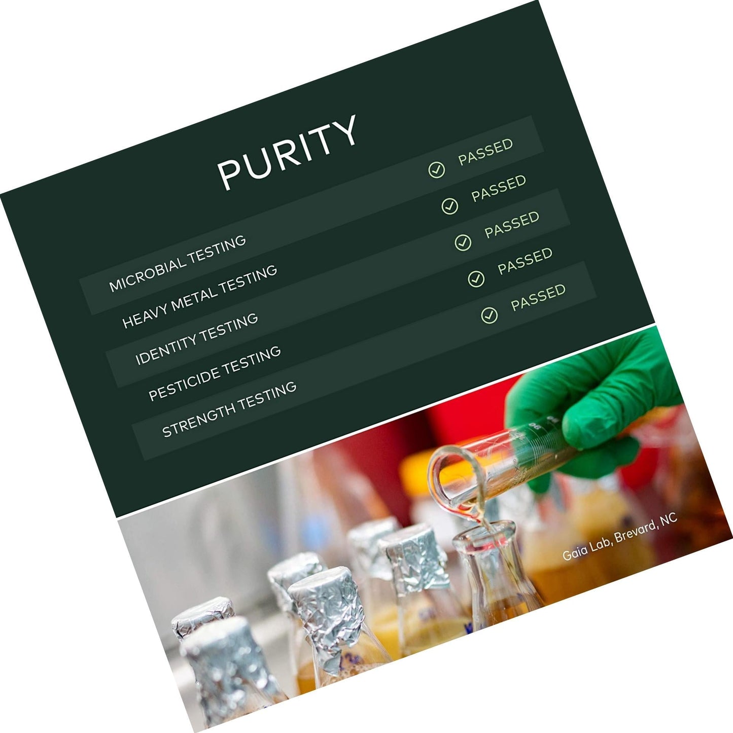 Gaia Herbs Ashwagandha Root, For Stress Relief, Immune Support, Balanced Energy Levels and Mood Support, Vegan Liquid Capsules, 120 Count